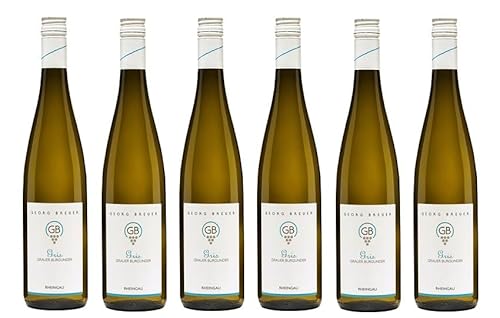 6x 0,75l - 2022er - Georg Breuer - GB - Gris - Grauburgunder - Qualitätswein Rheingau - Deutschland - Weißwein trocken von Georg Breuer