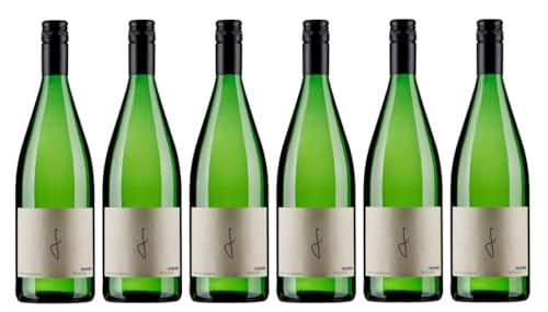 6x 1,0l - Georg Fußer - Riesling - LITER - Qualitätswein Pfalz - Deutschland - Weißwein trocken von Georg Fußer
