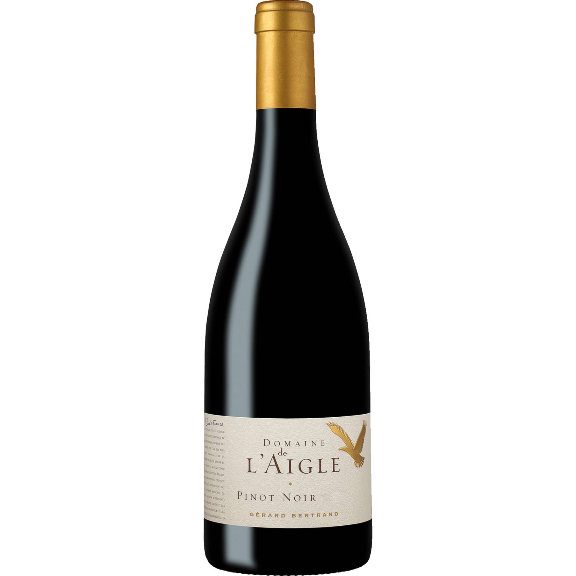 Domaine de l'Aigle Pinot Noir, Haute Vallée de l'Aude IGP, Languedoc-Roussillon, 2021, Rotwein von Domaine de l'Aigle, 11100 Narbonne, Frankreich
