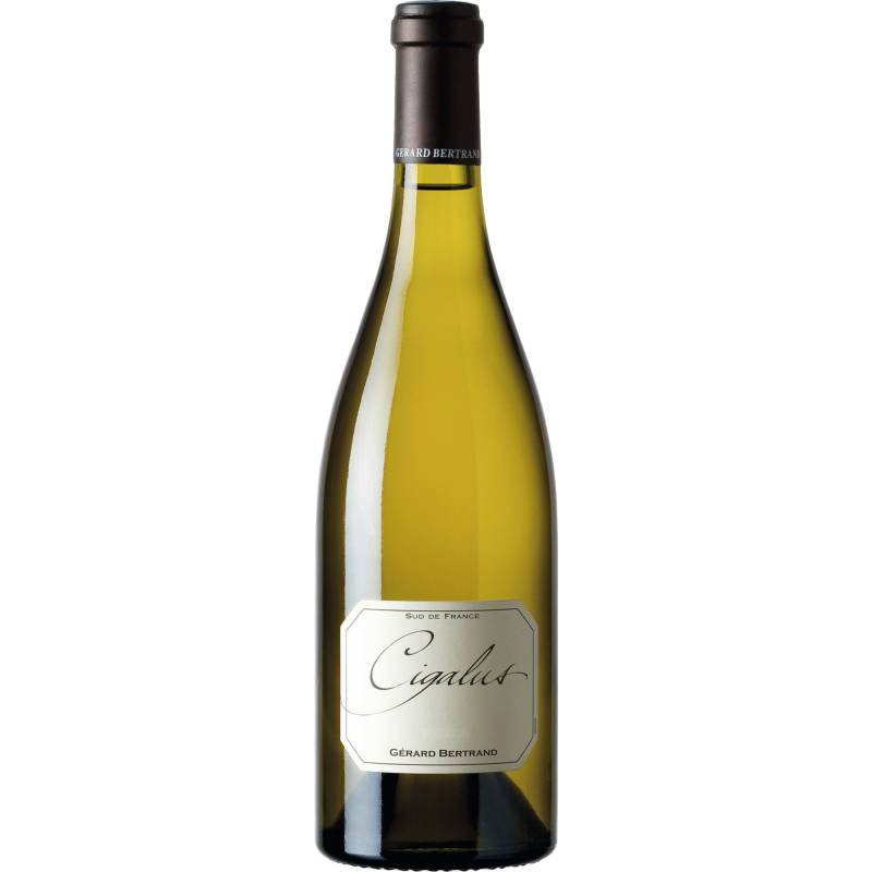 Cigalus Blanc, Aude Hauterive IGP, Languedoc-Roussillon, 2022, Weißwein von Gérard Bertrand,11100,Narbonne,Frankreich
