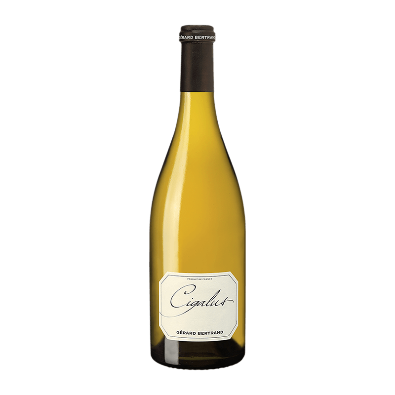 Gérard Bertrand : Cigalus 2019 Gérard Bertrand : Cigalus 2019 von Gérard Bertrand