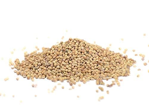 Koriandersamen ganz - Koriandersaat - Koriander ganz - Koriander Samen (40g) von Gerüche-Küche
