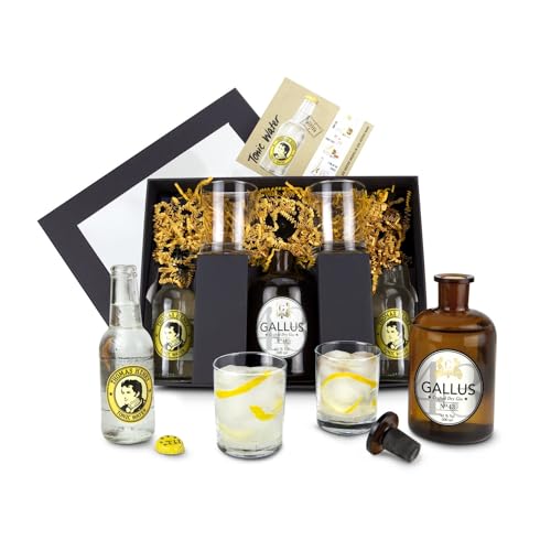 Römer Präsente Gin-Tonic-Geschenkset: 8-teilig; 1 originelle Apothekerflasche gefüllt mit Gin Gallus 43 (0,5 L) + 1 Glaskorken + 2 Thomas Henry Tonic Water + 2 Gläser + 1 Rezept-Flyer + Geschenkbox von Römer Präsente