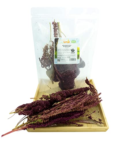 Getzoo Amaranth Rot - Getrocknet (Bund) | Natürliche Nahrungsquelle für Nager | Deutsche Qualität | Ballaststoff- & Proteinreich | Ideal für Meerschweinchen, Kaninchen, Hamster von Getzoo