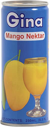 GINA Mangonektar, leicht gesüßt, Fruchtsaftgehalt mind. 35%, Einwegpfand DPG, 250 ml von Gina