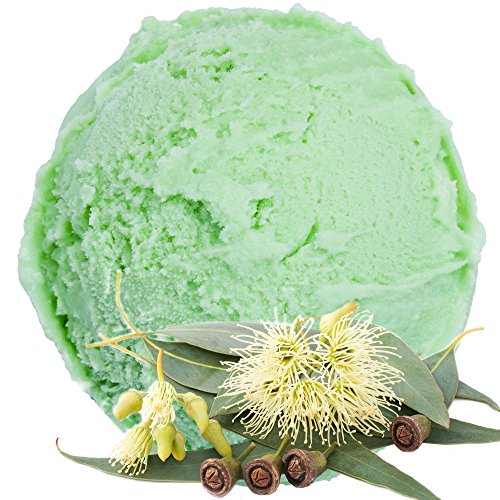 Eukalyptus Geschmack Eispulver Softeispulver 1:3 1kg Gino Gelati Eispulver Softeispulver für Ihre Eismaschine von Gino Gelati
