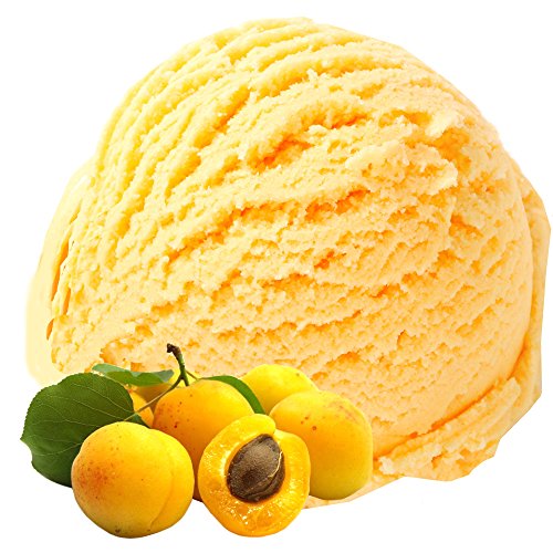 Gino Gelati 10x1 Kg Eispulver mit Aprikose Geschmack für Speiseeis Softeispulver Speiseeispulver von Gino Gelati