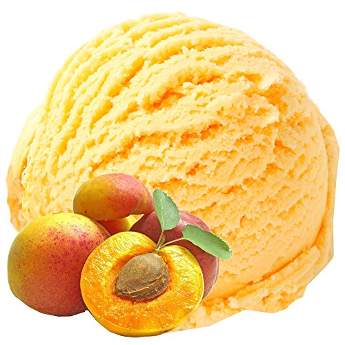 Gino Gelati 10x1 Kg Eispulver mit Pfirsich Geschmack für Speiseeis Softeispulver Speiseeispulver von Gino Gelati