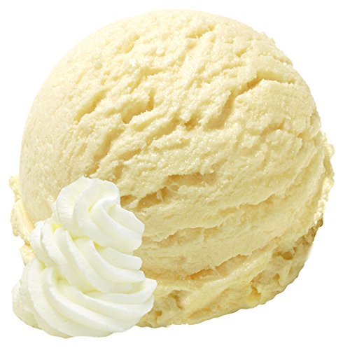 Gino Gelati 10x1 Kg Eispulver mit Sahne Geschmack für Milcheis Softeispulver Speiseeispulver von Gino Gelati