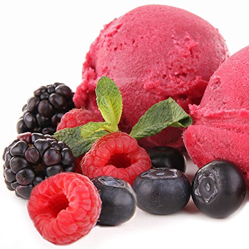 Gino Gelati 10x1 Kg Eispulver mit Waldfrucht Geschmack für Speiseeis Softeispulver Speiseeispulver von Gino Gelati