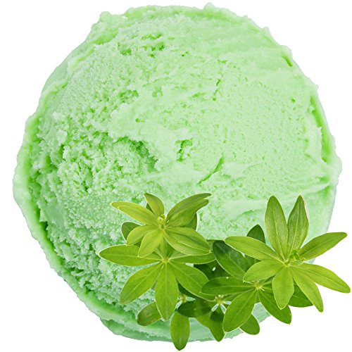 Gino Gelati 10x1 Kg Eispulver mit Waldmeister Geschmack für Speiseeis Softeispulver Speiseeispulver von Gino Gelati