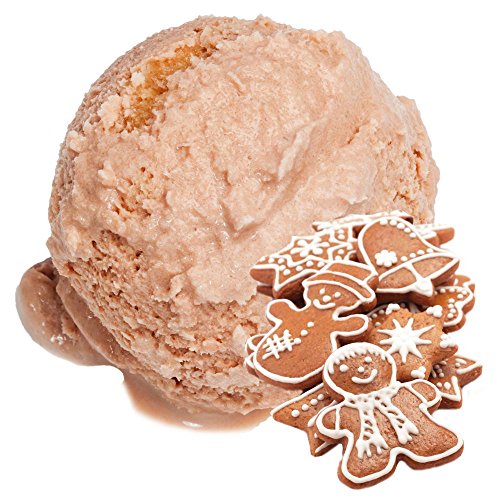 Gino Gelati - Lebkuchen Geschmack Eispulver Softeispulver 1:3 für Softeismaschine Party Kinder Schule von Gino Gelati