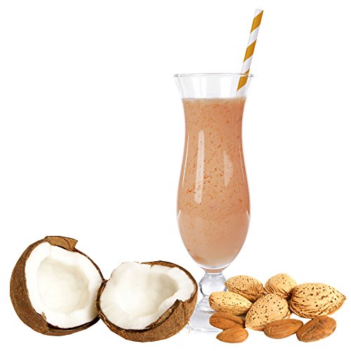 Kokos Mandel Geschmack Milchshake Pulver Gino Gelati zum Milchshakes selber machen (10 kg) von Gino Gelati