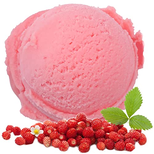 Walderdbeere Geschmack Eispulver VEGAN - OHNE ZUCKER - LAKTOSEFREI - GLUTENFREI - FETTARM, auch für Diabetiker Milcheis Softeispulver Speiseeispulver Gino Gelati (Walderdbeere, 1 kg) von Gino Gelati