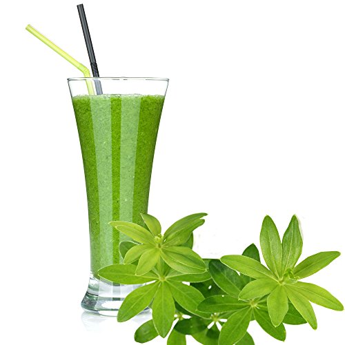 Waldmeister Geschmack Milchshake Pulver Gino Gelati zum Milchshakes selber machen (10 kg) von Gino Gelati