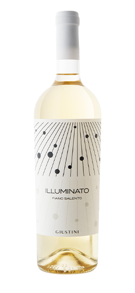 "Illuminato" Fiano Salento IGP 2022 von Giustini