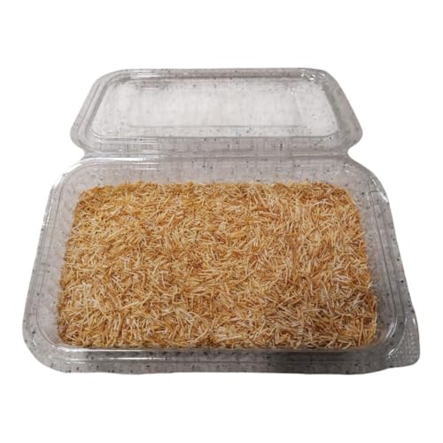 Kadayif geröstet Teigfäden - Engelshaar - Künefe - für Dubai Schokolade (1500G Kadayif) von GlassZilla