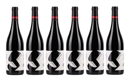 6x 0,75l - 2021er - Glatzer - Blaufränkisch Göttlesbrunn - Carnuntum - Österreich - Rotwein trocken 6x 0,75l - 2021er - Glatzer - Blaufränkisch Göttlesbrunn - Carnuntum - Österreich - Rotwein trocken von Glatzer