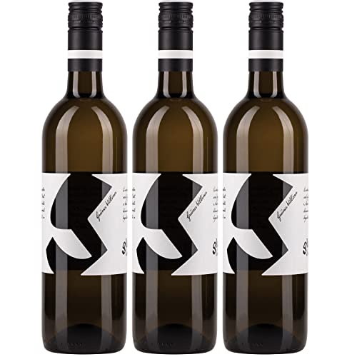 Glatzer Grüner Veltliner Weißwein Wein trocken Bio Österreich I Visando Paket (3 Flaschen) von Glatzer