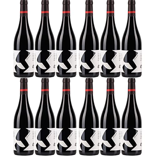 Glatzer Sankt Laurent Rotwein Wein trocken Österreich I Visando Paket (12 Flaschen) von Glatzer