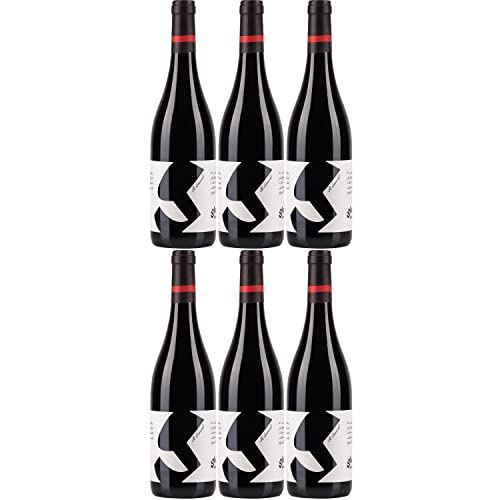 Glatzer Sankt Laurent Rotwein Wein trocken Österreich I Visando Paket (6 Flaschen) von Glatzer