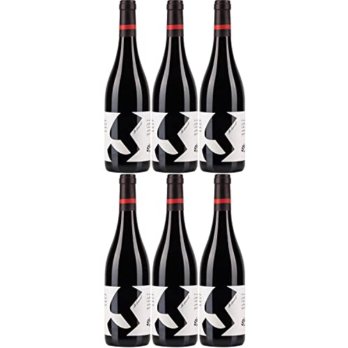 Glatzer Sankt Laurent Rotwein Wein trocken Österreich I Visando Paket (6 Flaschen) von Glatzer