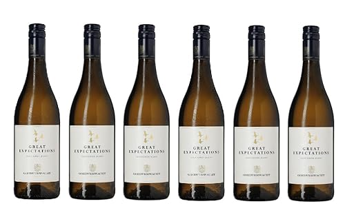 6x 0,75l - 2023er - Goedverwacht - Great Expectations - Sauvignon Blanc - Robertson W.O. - Südafrika - Weißwein trocken von Goedverwacht