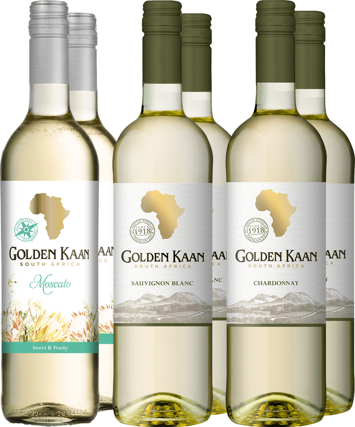 6er-Probierpaket »Die Weißweine von Golden Kaan«