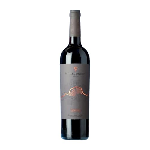 González Byass Dominio Fournier Tempranillo Ribera del Duero Reserve 75 cl Rotwein González Byass Dominio Fournier Tempranillo Ribera del Duero Reserve 75 cl Rotwein von González Byass