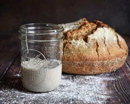 ROGGEN Sauerteig, Anstellteig, Anstellgut (+ Kurzanleitung u. Backrezept) - Bio (80, 1) von Goodrinks