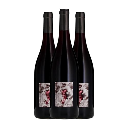 Gramenon Poignée de Raisins Grenache Tintorera Côtes du Rhône 75 cl (Schachtel mit 3 Flaschen von 75 cl) von Distribuidor