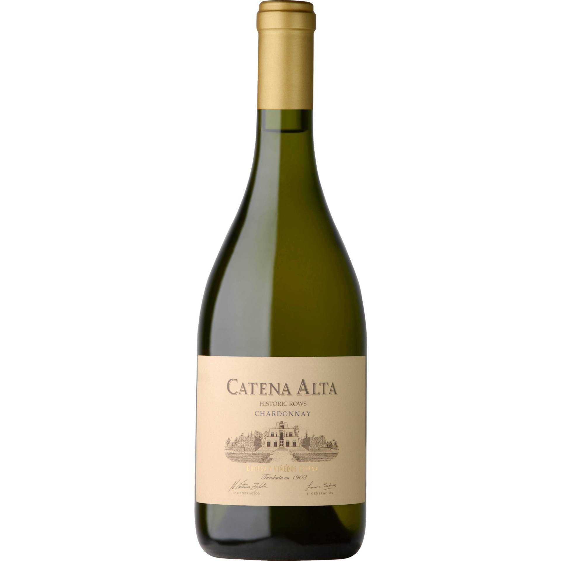 Catena Alta Chardonnay, Mendoza, Mendoza, 2022, Weißwein Catena Alta Chardonnay, Mendoza, Mendoza, 2022, Weißwein von Grand Cru Select Distributionsgesellschaft mbH,53227,Bonn,Deutschland