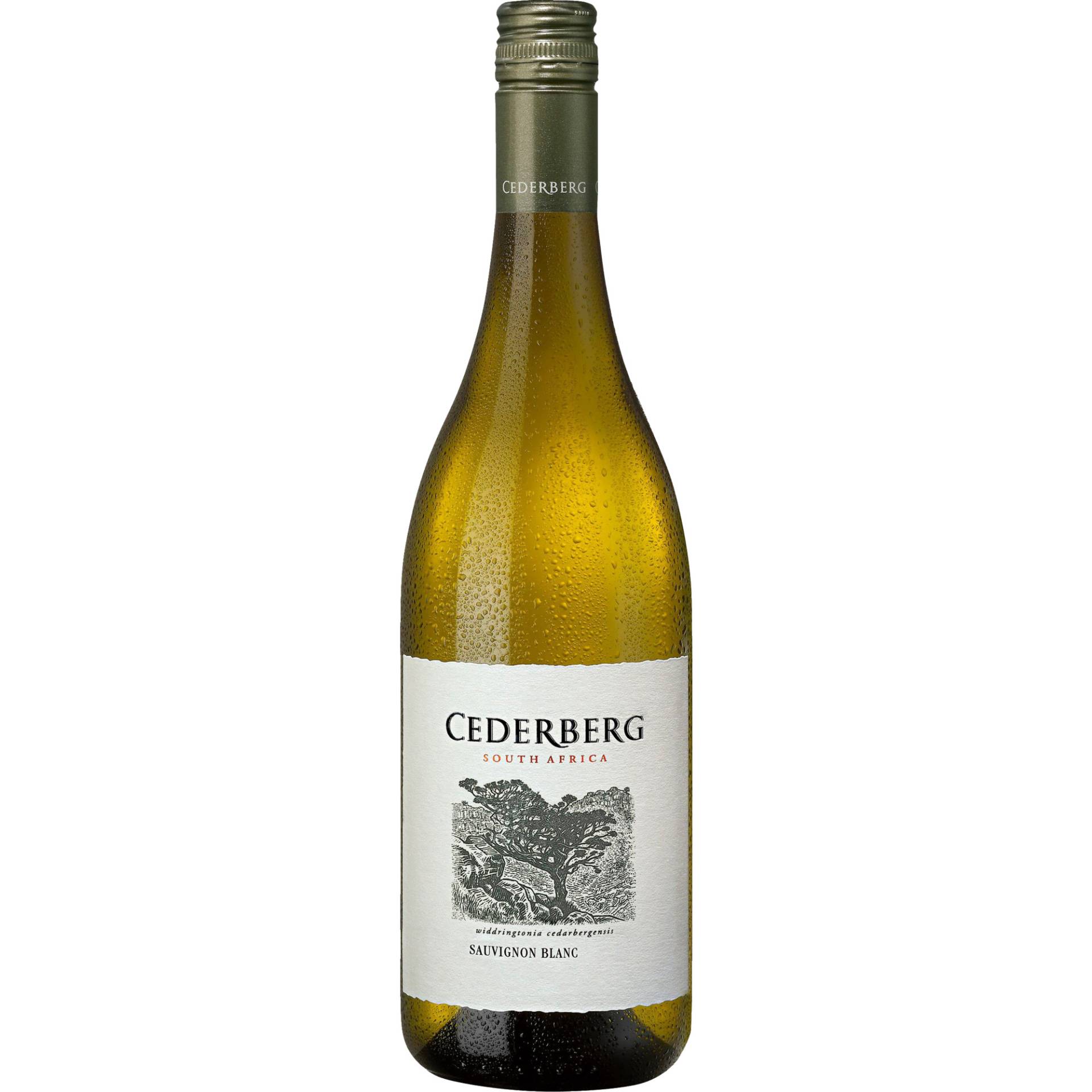 Cederberg Sauvignon Blanc, WO Cederberg, Western Cape, 2023, Weißwein von Grand Cru Select Distributionsgesellschaft mbH,53227,Bonn,Deutschland