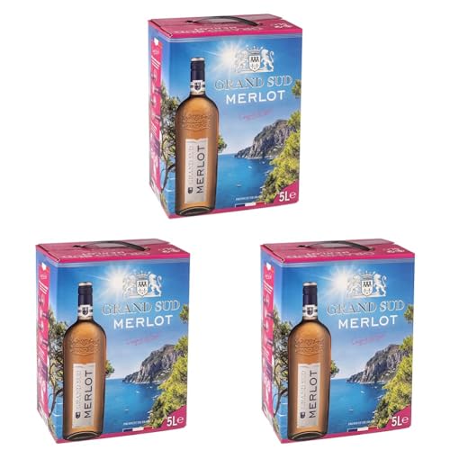 Grand Sud - Merlot Rosé aus Süd-Frankreich - Sortentypischer Trocken Roséwein - Großpackungen Wein Bag in Box 5l (1 x 5 L) (Packung mit 3) von Grand Sud