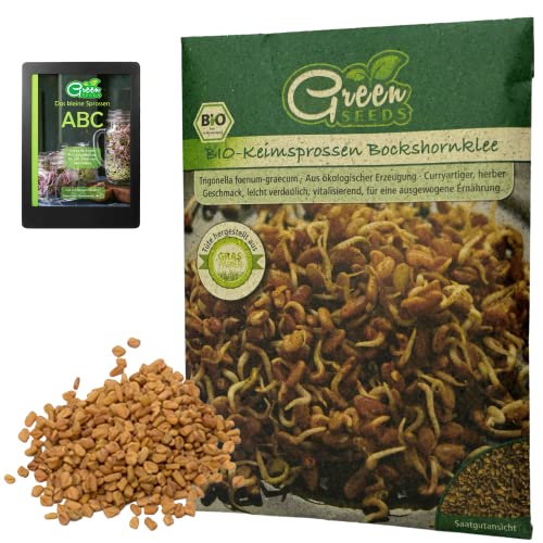 Green SEEDS Bio Bockshornklee Keimsprossen Saatgut in nachhaltiger Graspapier-Verpackung | Bockshornkleesamen [75gr] von Green SEEDS