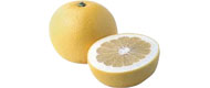 Grapefruits, weiß Grapefruits, weiß von Griechenland