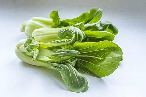 Asiasalat Senfkohl Pak Choi 200 Samen Asiasalat Senfkohl Pak Choi 200 Samen von Grow Your Secret Garden
