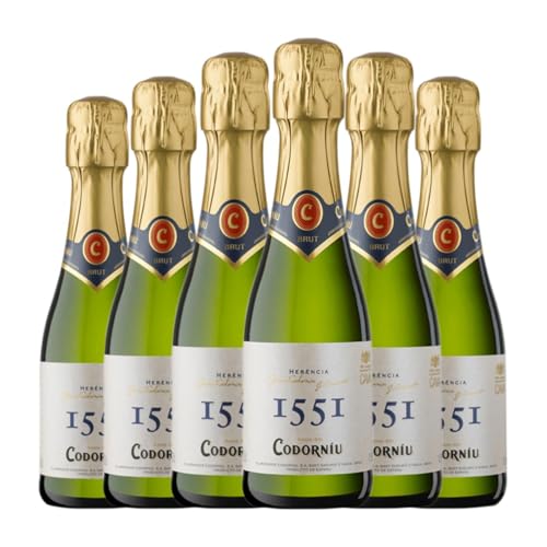 Codorníu 1551 Brut Natur Cava Jung Kleine Flasche 20 cl Weißer Sekt (Karton mit 6 Kleine Flasche von 20 cl) von Grupo Codorníu