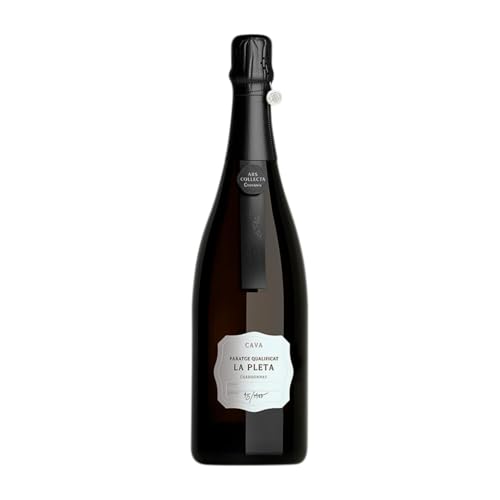 Codorníu Ars Collecta Finca la Pleta Chardonnay Cava 75 cl Weißer Sekt Codorníu Ars Collecta Finca la Pleta Chardonnay Cava 75 cl Weißer Sekt von Grupo Codorníu