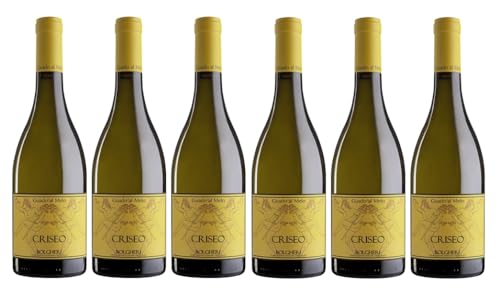 6x 0,75l - 2022er - Guado al Melo - Criseo - Bianco - Bolgheri D.O.P. - Toscana - Italien - Weißwein trocken 6x 0,75l - 2022er - Guado al Melo - Criseo - Bianco - Bolgheri D.O.P. - Toscana - Italien - Weißwein trocken von Guado al Melo