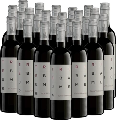 Blaufränkisch Triebaumer Rotwein 24 x 0,75l VINELLO - 24 x Weinpaket inkl. kostenlosem VINELLO.weinausgießer von Günter + Regina Triebaumer