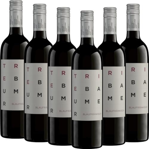 Blaufränkisch Triebaumer Rotwein 6 x 0,75l VINELLO - 6 x Weinpaket inkl. kostenlosem VINELLO.weinausgießer von Günter + Regina Triebaumer
