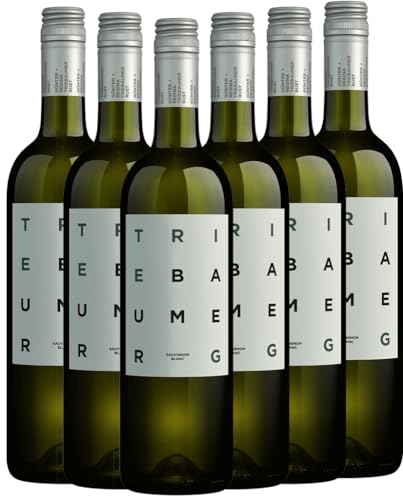 Sauvignon Blanc Triebaumer Weißwein 6 x 0,75l VINELLO - 6 x Weinpaket inkl. kostenlosem VINELLO.weinausgießer von Günter + Regina Triebaumer