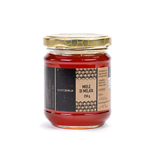 GUSTOEMILIA Honigtauhonig (250 g) – Italienischer Bio-Honig, reich an Antioxidantien und Polyphenolen von Gustoemilia