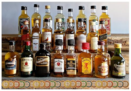 Geschenk 24 Original Whisky Miniaturen je 50ml/40ml + 24 Edelschokoladen in 10 Sorten im Geschenk Karton von H-BO