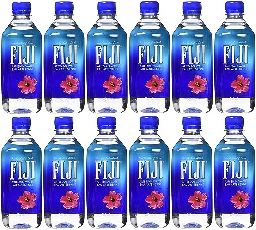 Fiji Wasser 12x500ml von H-O