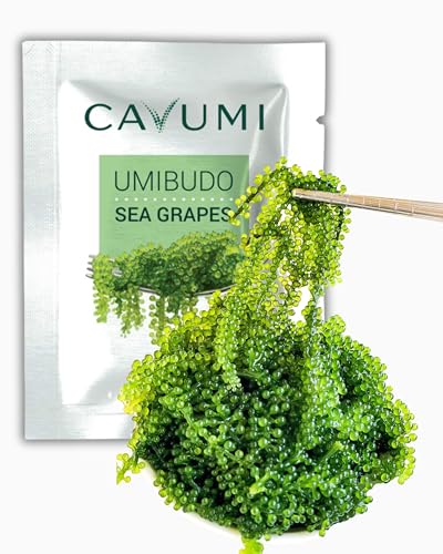 CAVUMI Sea Grapes 20gr / Meerestrauben als Algen Snack/Getrocknete Seealgen/Umibudo als knackiger Grüner Kaviar von HANA Kimchi