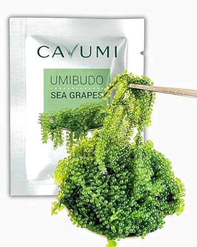 CAVUMI Sea Grapes 20gr / Meerestrauben als Algen Snack/Getrocknete Seealgen/Umibudo als knackiger Grüner Kaviar von HANA Kimchi