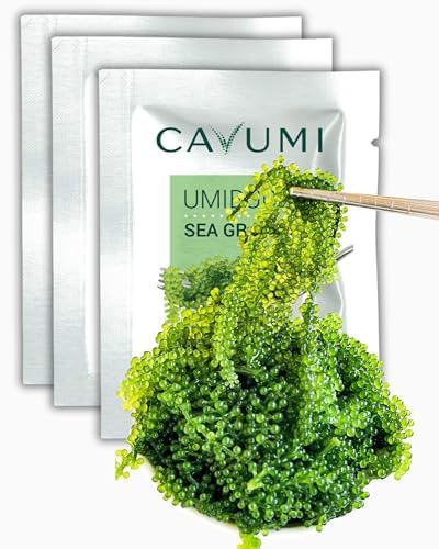 CAVUMI Sea Grapes 3x20gr / Meerestrauben als Algen Snack/Getrocknete Seealgen/Umibudo als knackiger Grüner Kaviar von HANA Kimchi