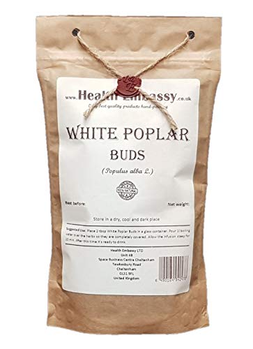Health Embassy Weiße Pappelknospen Tee (Populus Alba L.) / White Poplar Buds Tea, 100g von HEALTH EMBASSY